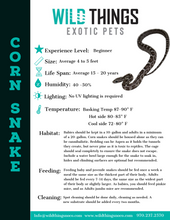 Load image into Gallery viewer, Snake Care Sheets
